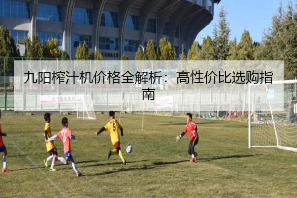 九阳榨汁机价格全解析：高性价比选购指南