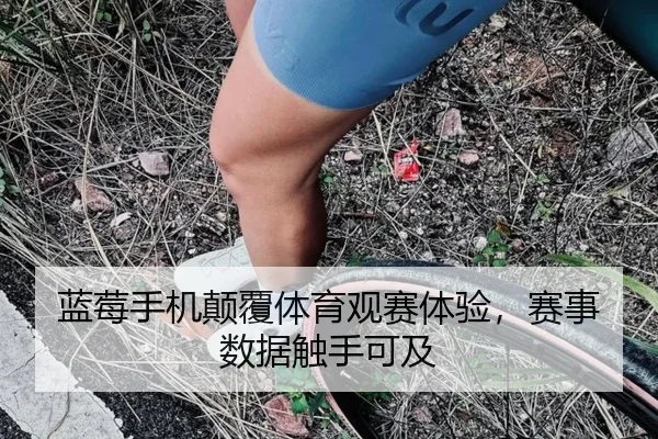蓝莓手机颠覆体育观赛体验，赛事数据触手可及