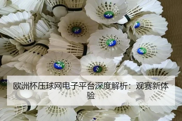 欧洲杯压球网电子平台深度解析：观赛新体验